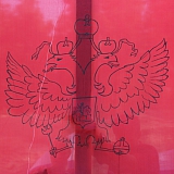 Слёт студенческих палаточных лагерей «Под флагом славы» 242