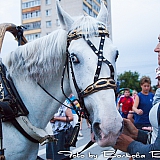 День г.Бор и День строителя 100