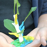 Слёт студенческих палаточных лагерей «Под флагом славы» 99