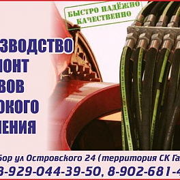 михаил викторович галанин