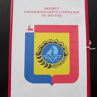 Программный бюджет г.о.г. Бор на 2015 год 1