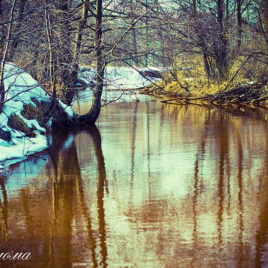 Николай Ермаков