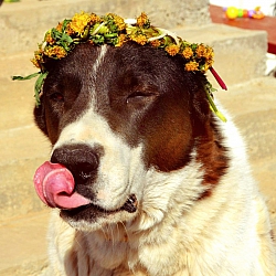 Виктория Зырина
