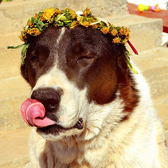 Виктория Зырина