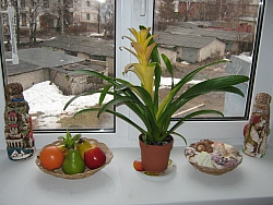 Александр Матвеев