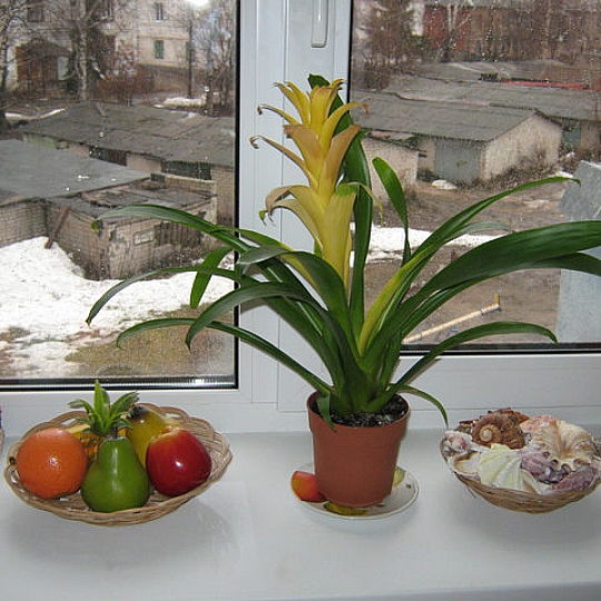 Александр Матвеев