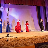 Мисс Бор - 2015 233