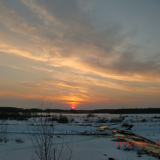 Елена Борецкая