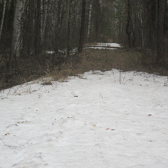 Елена Мухина