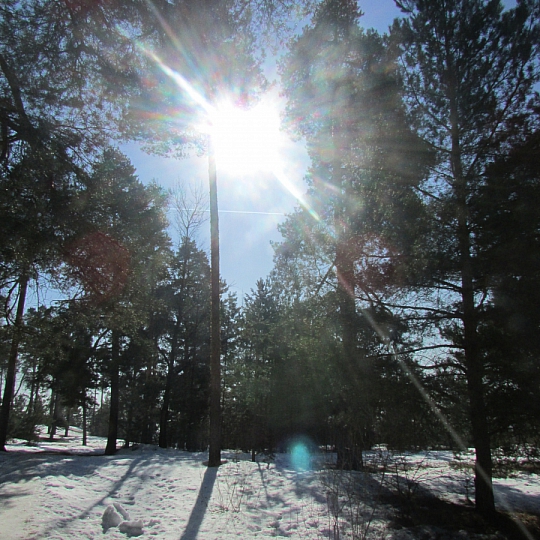 Оксана Смелова