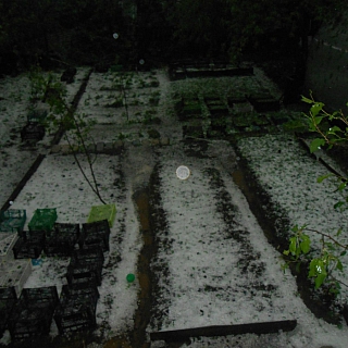 Жители Бора приходит в себя после сильнейшего ливня с градом 4