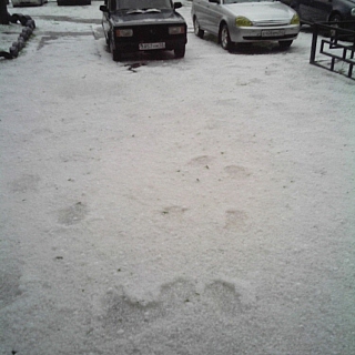 Жители Бора приходит в себя после сильнейшего ливня с градом 6