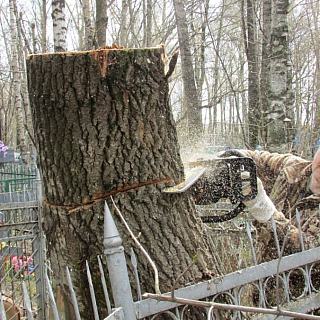 Округ встречает весну и Победу. Фоторепортаж 3