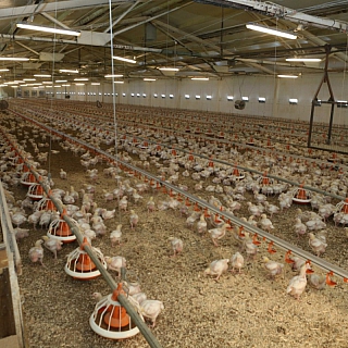 «Совместные поездки журналистов и депутатов должны дать стратегические результаты» - Евгений Лебедев 23