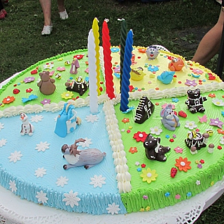 Праздник на улице Пожарского 9