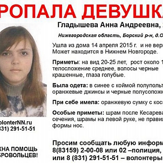 Пропавшая 25-летняя Анна Гладышева найдена живой в Борском районе 1