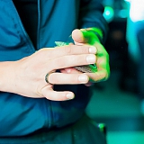 Хулиганье PARTY 18