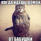 Алексей Фролов