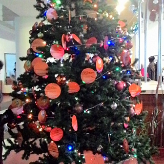 Благотворительная акция «Мандарин» в г.о.г Бор 5