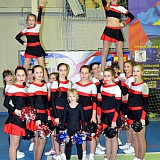 IV открытый международный турнир по смешанным единоборствам 21