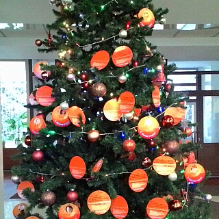 Благотворительная акция «Мандарин» в г.о.г Бор 1