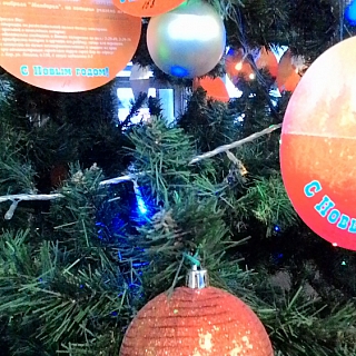 Благотворительная акция «Мандарин» в г.о.г Бор 2