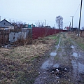 Всеми любимый Бор (фото) 1