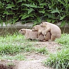 Александр Угаров