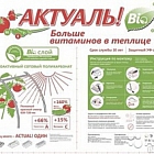 Павел Беляев