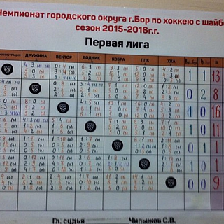 Хоккей. Итоги 2