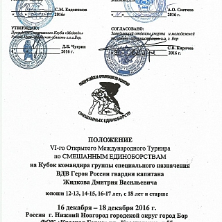 Открытый международный турнир по смешанным единоборствам 1