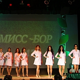 Мисс Бор - 2017 60