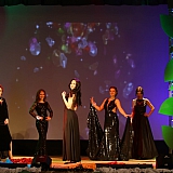 Мисс Бор - 2017 182