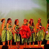 Мисс Бор - 2017 160