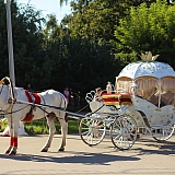 День города, День строителя, День физкультурника - 2017 67