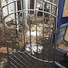 Антон Шибышов