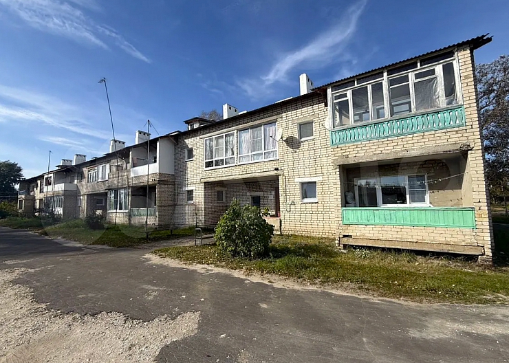 1-к. кв, 29 м², 1/2 эт.,Бор, п.Большеорловское