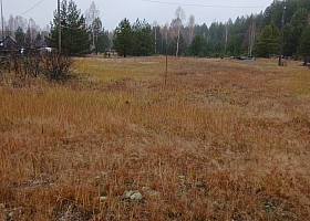 Нижегородская обл.Борский район с.п.Березовка