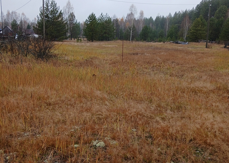 Нижегородская обл.Борский район с.п.Березовка