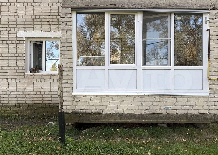 1-к. кв, 29 м², 1/2 эт.,Бор, п.Большеорловское 3