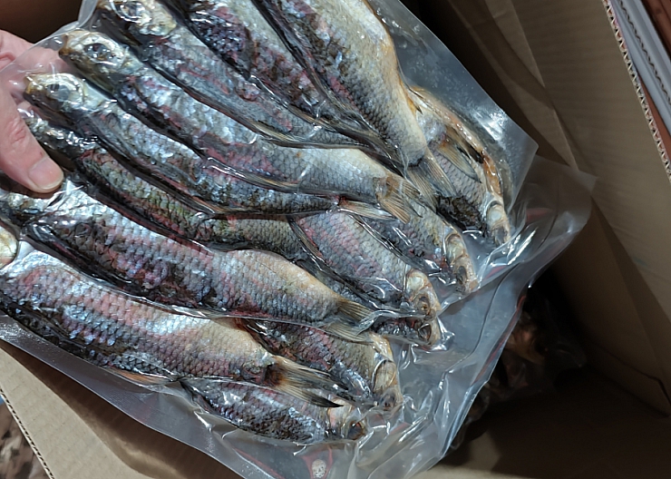 Свеженькая Астраханская Вобла 3