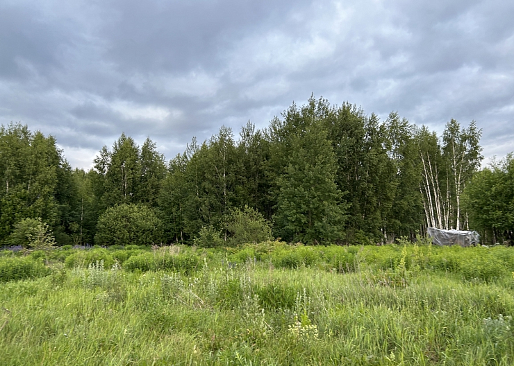 продам Земельные участки в д. Путьково 2