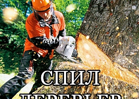 Спил деревьев кустарнииков