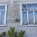 Аварийные дома 3