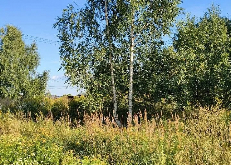 Устали от зарослей