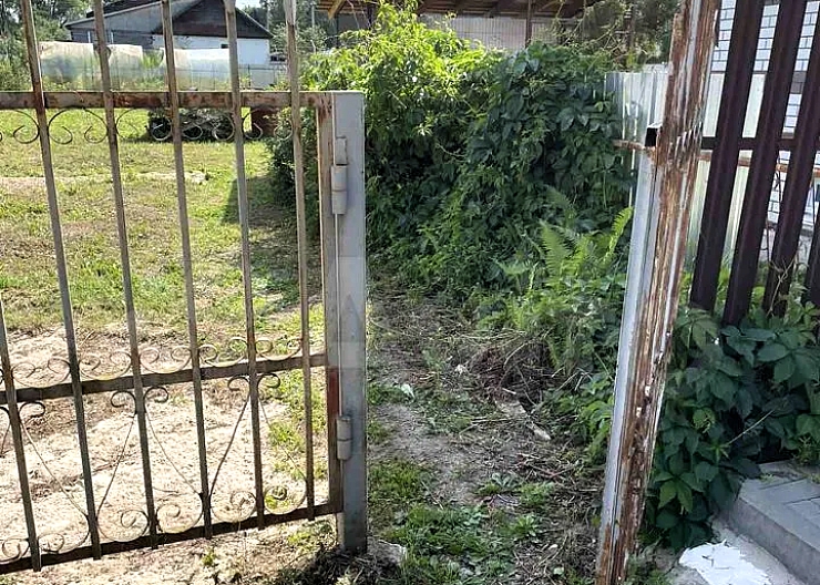 Дом 29 кв.м. на участке 8 сот., Бор, Заборье 4