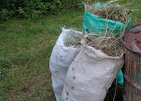 Продам сено