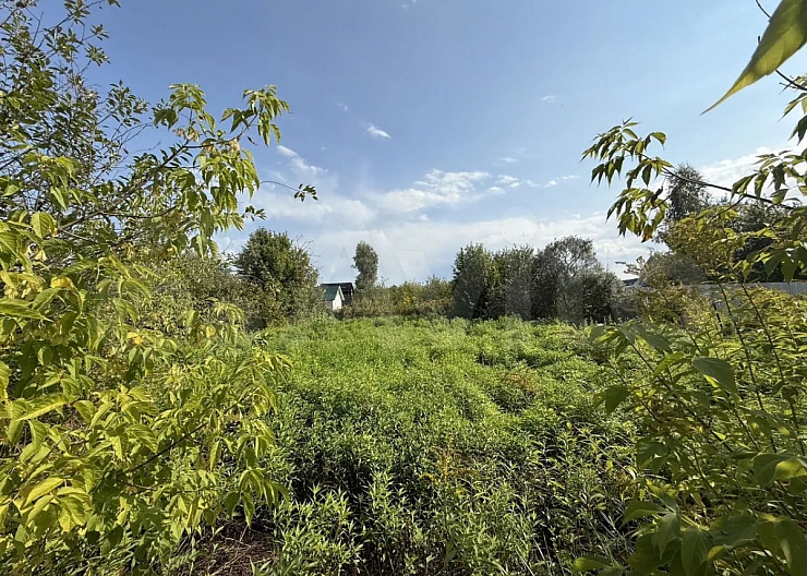 Участок 6 сот., Бор, СНТ Колобок 2