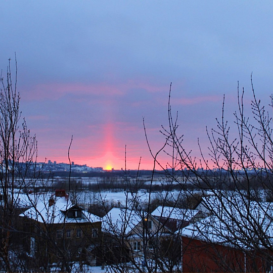 Анна Ларченко