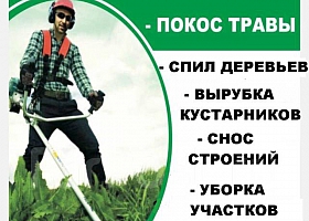 Покос травы ,спил деревьев, под резка веток,